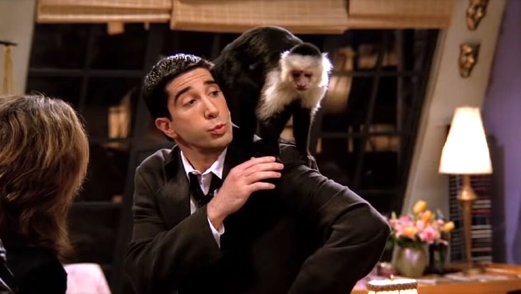 Mono Marcel en 'Friends'
