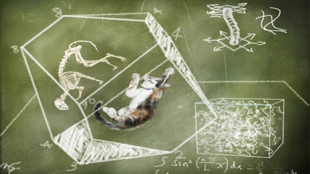 El gato de Schrodinger