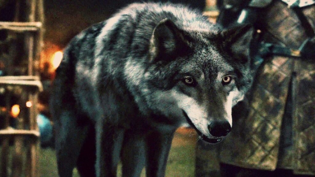 DireWolf en 'Juego de tronos'