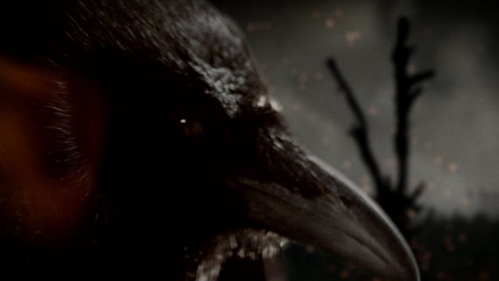 Cuervo en 'Vikingos'