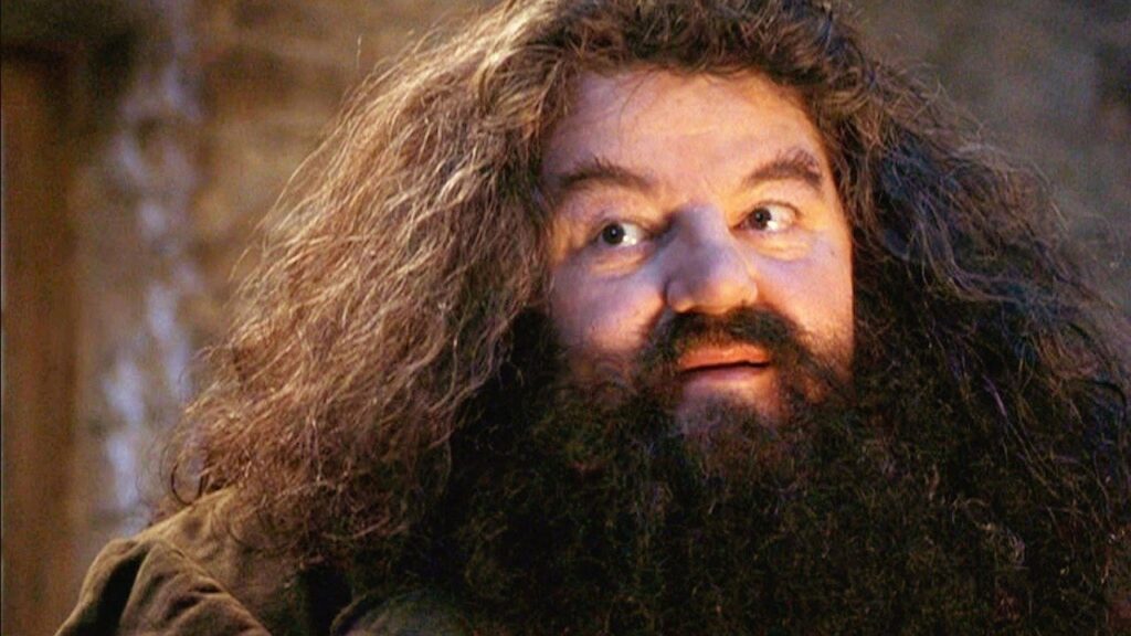 Rubeus Hagrid en 'Harry Potter'
