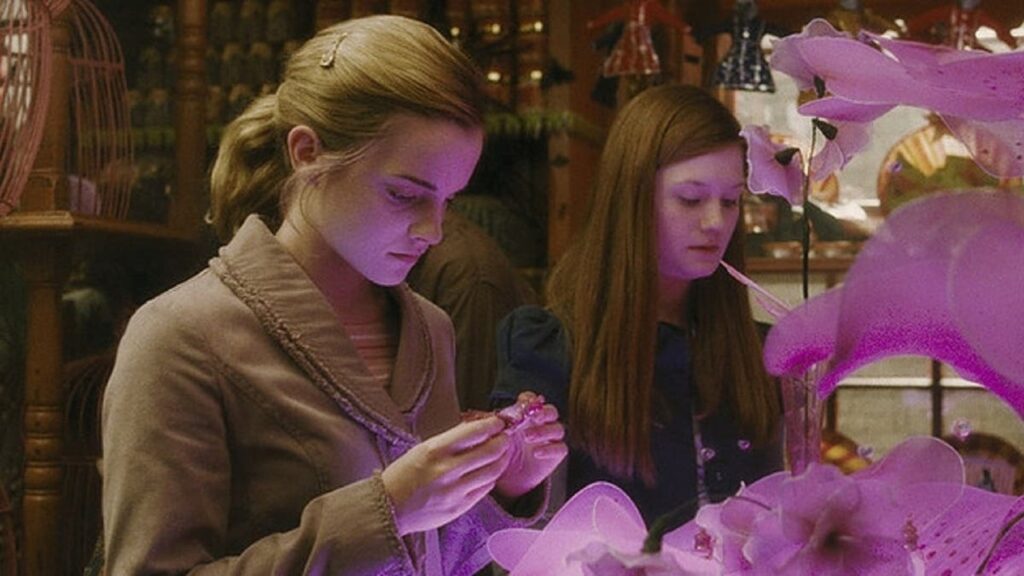 Amortentia en 'Harry Potter'