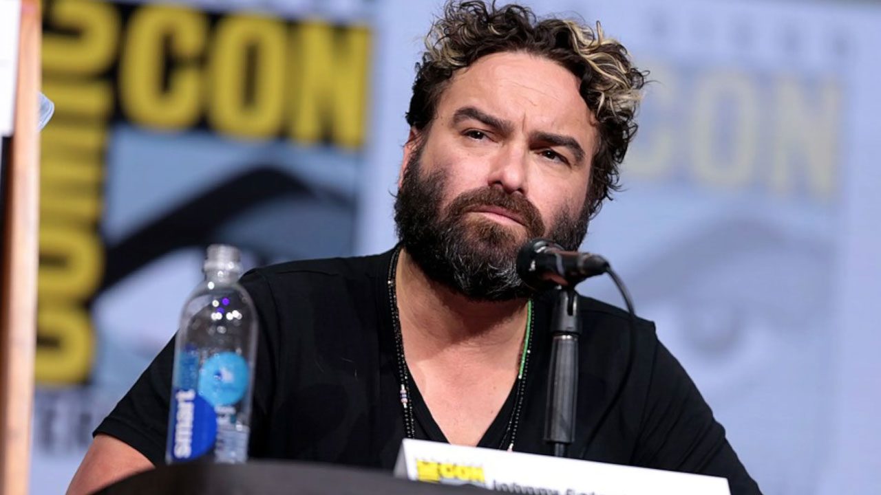 Johnny Galecki (Actor)