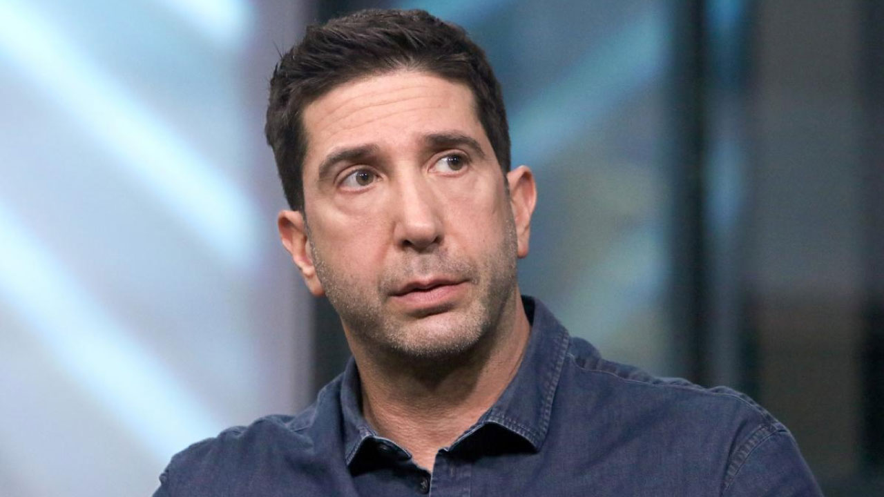 David Schwimmer (Actor)