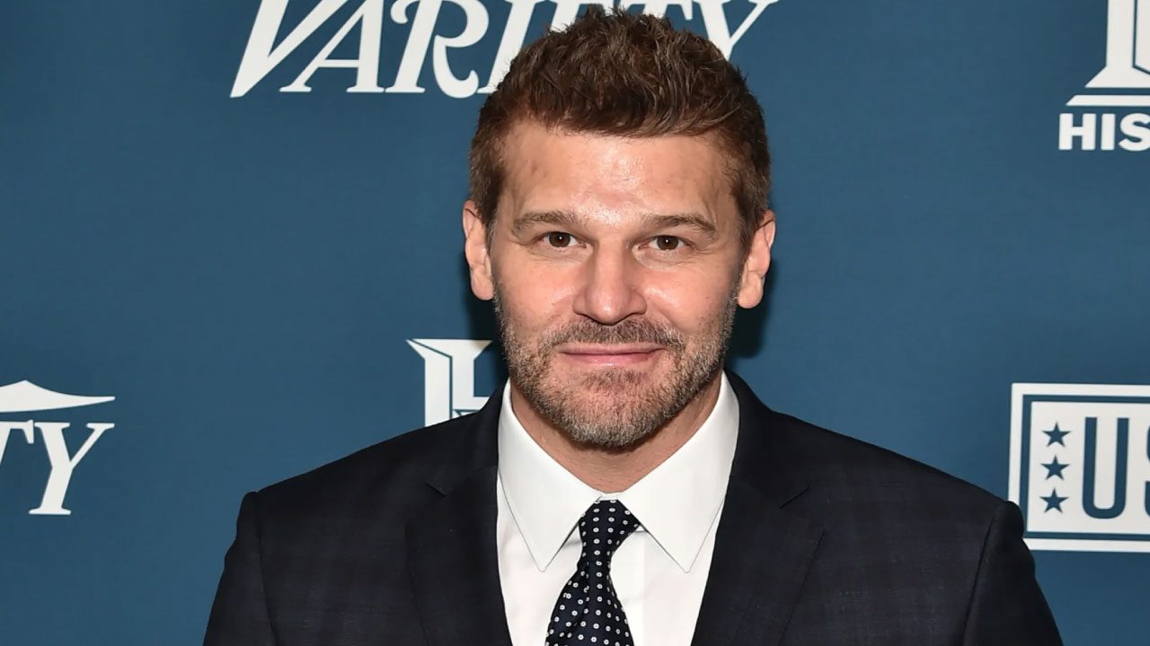 David Boreanaz (Actor)