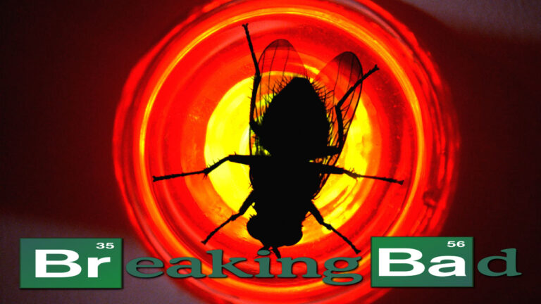 La Mosca (Episodio de la serie Breaking Bad)