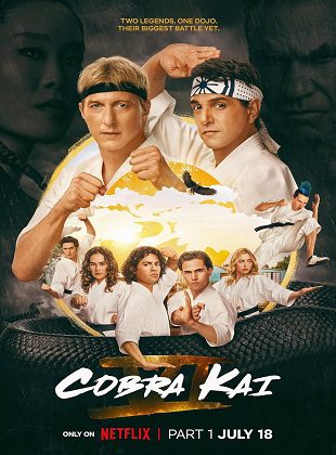 Cobra Kai (Serie de TV) Cobra Kai (Serie de TV)