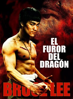 El Furor Del Dragón (Película) El Furor Del Dragón (Película)