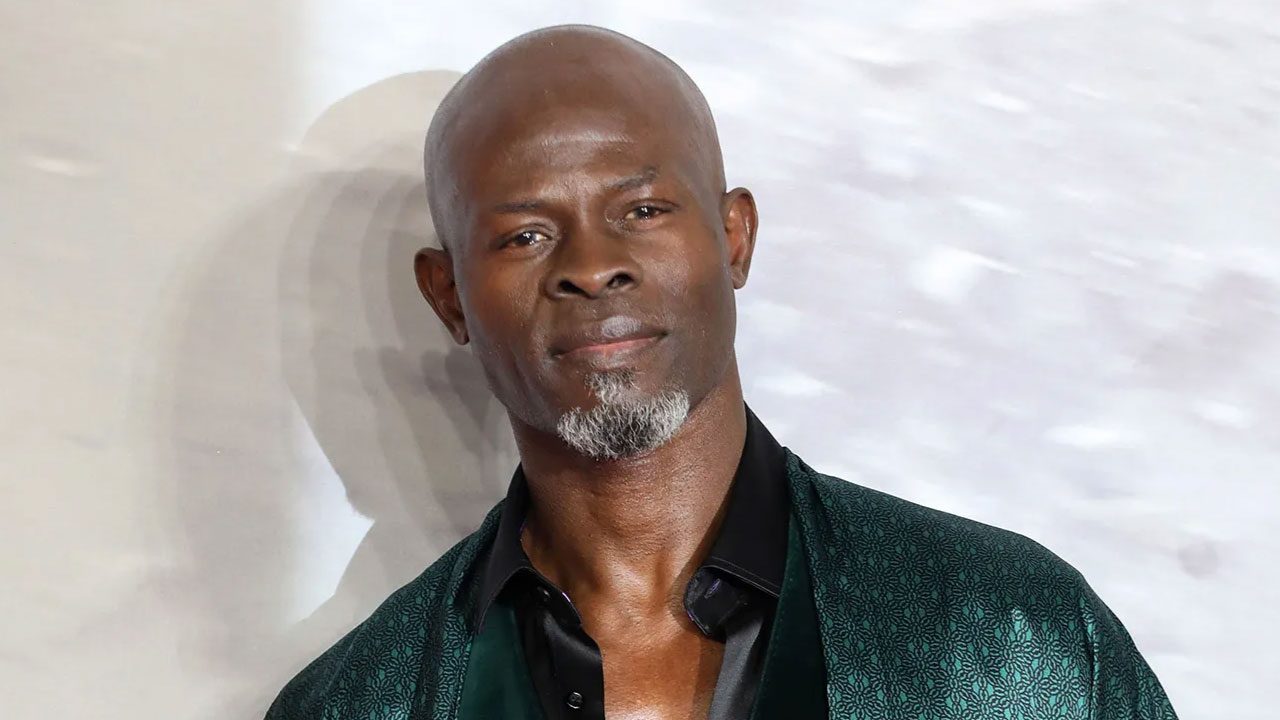Djimon Hounsou (Actor)