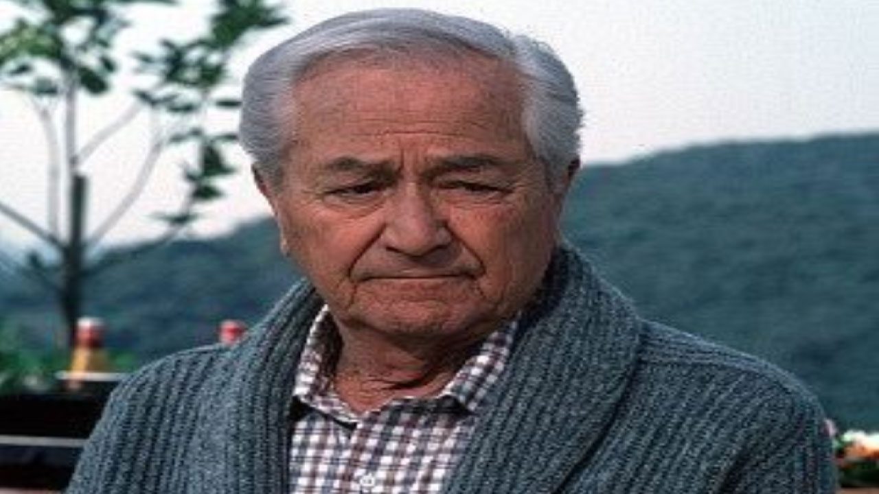 Robert Young (Actor) Robert Young (Actor)