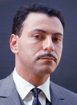 Alan Arkin (Actor) Alan Arkin (Actor)
