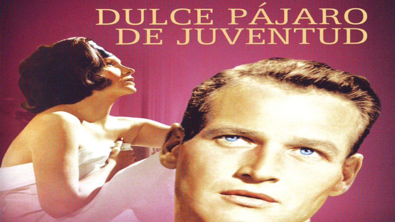 Dulce Pájaro De Juventud (Película) Dulce Pájaro De Juventud (Película)