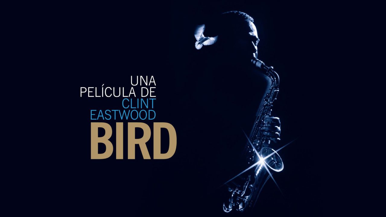 Bird (Película)