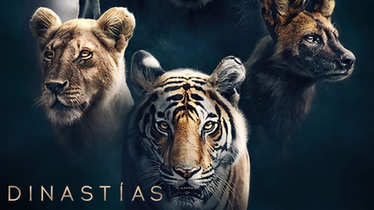 Dinastías (Serie de TV) Dinastías (Serie de TV)