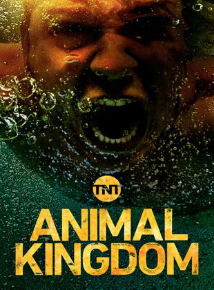Animal Kingdom (Serie de TV)