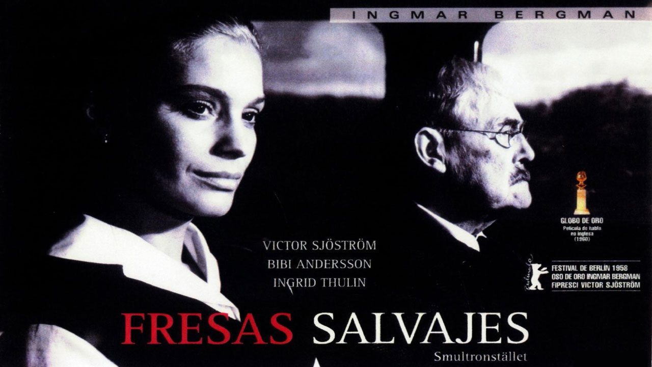Fresas Salvajes (Película)