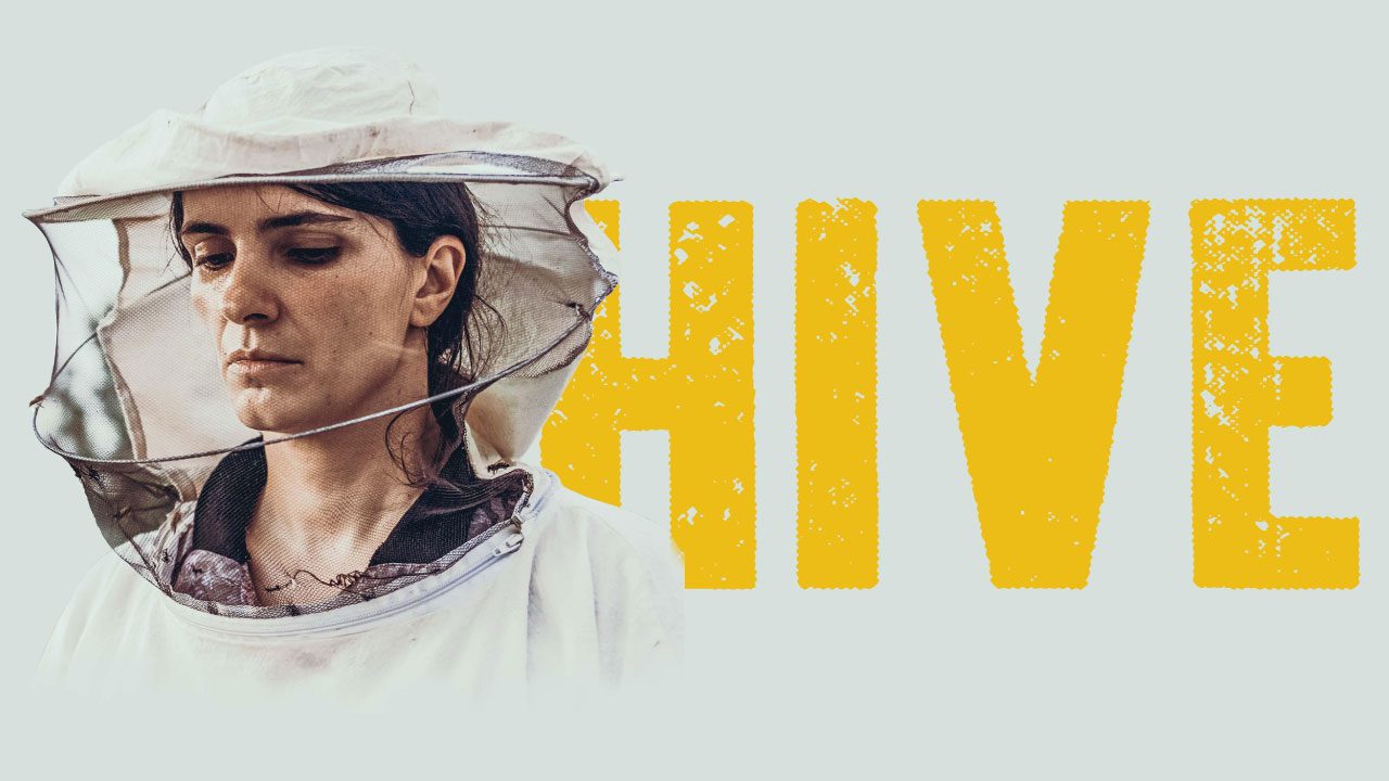 Hive (Película) Hive (Película)