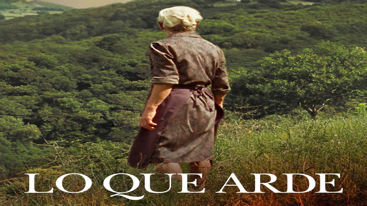 Lo Que Arde (Película) Lo Que Arde (Película)