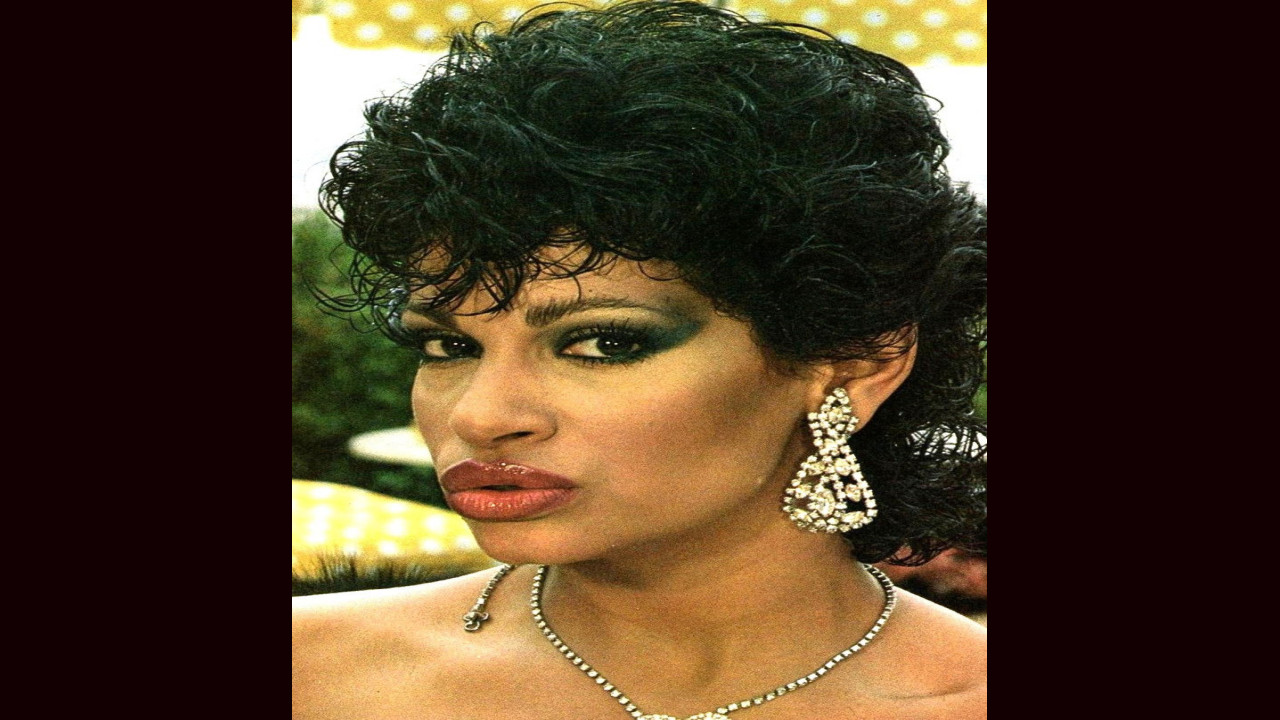 Vanessa del Rio (Actriz)