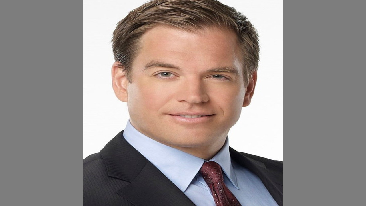 Michael Weatherly (Actor)