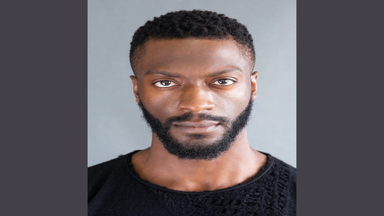 Aldis Hodge (Actor)