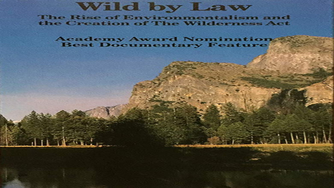 Wild by Law (Película de 1991)