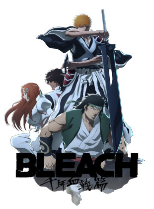 Bleach (Serie de 2004)