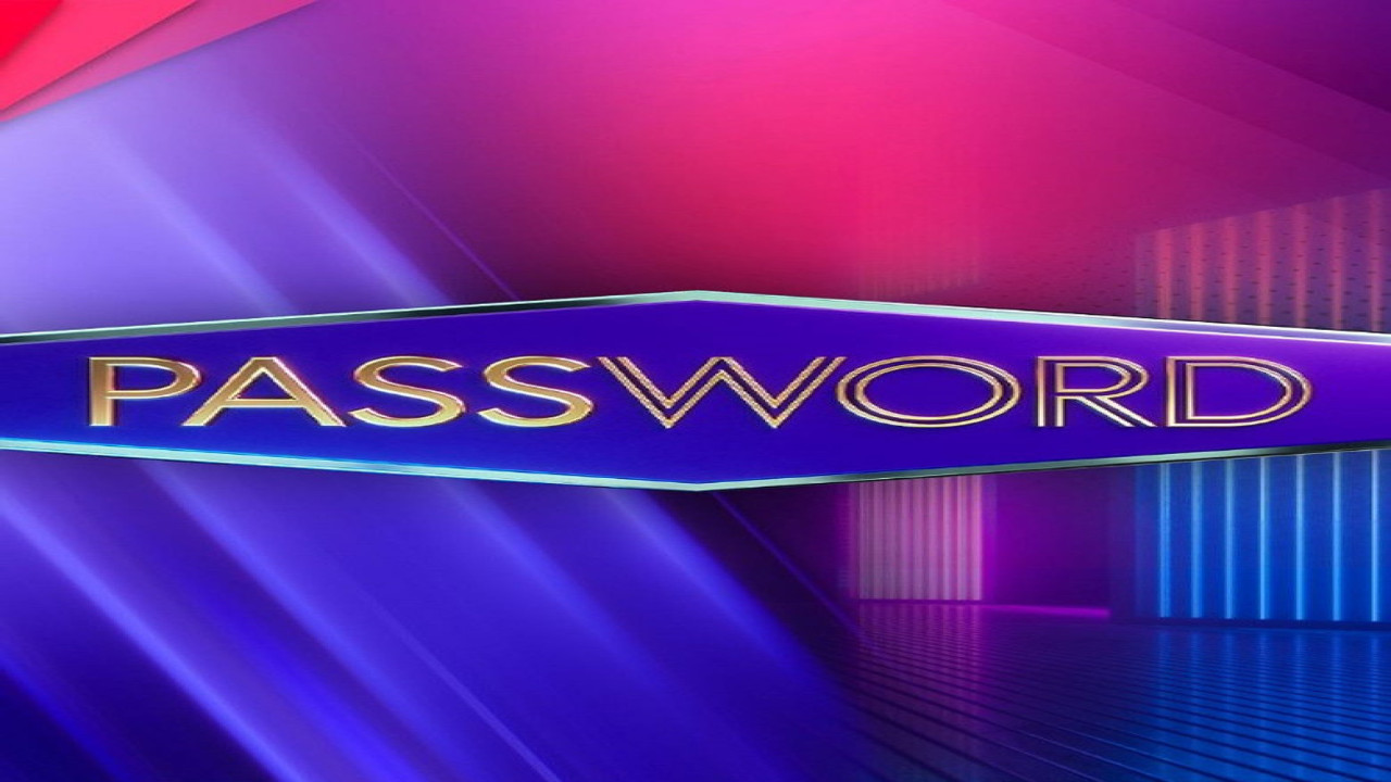 Password (Programa de 2008)