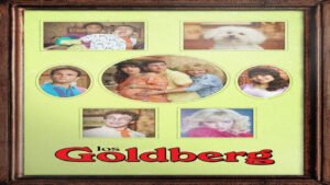 📺 Los Goldberg (Serie de 2013)