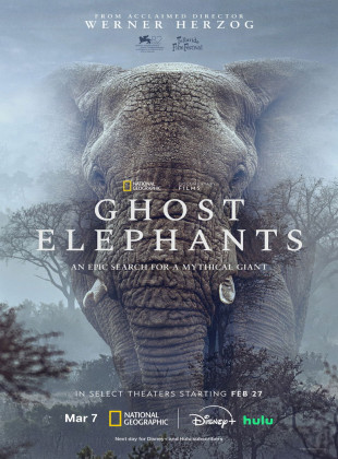 Ghost Elephants (Película de 2026)