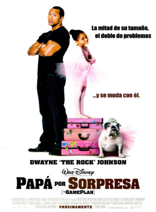 Papá por sorpresa (Película de 2007)