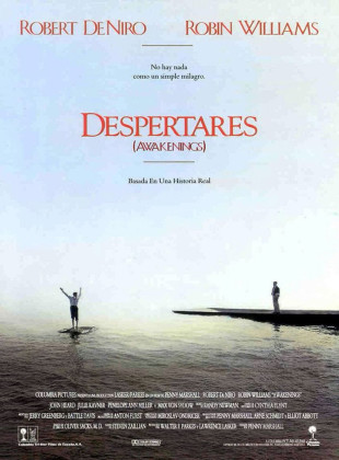 Despertares (Película de 1990)