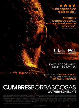 Cumbres borrascosas (Película de 2011)