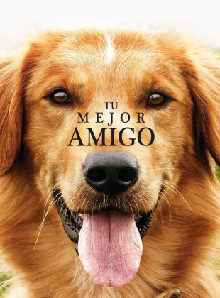 Tu mejor amigo (Película de 2017)