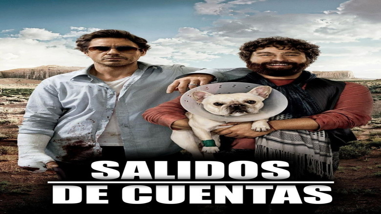 Salidos de cuentas (Película de 2010)
