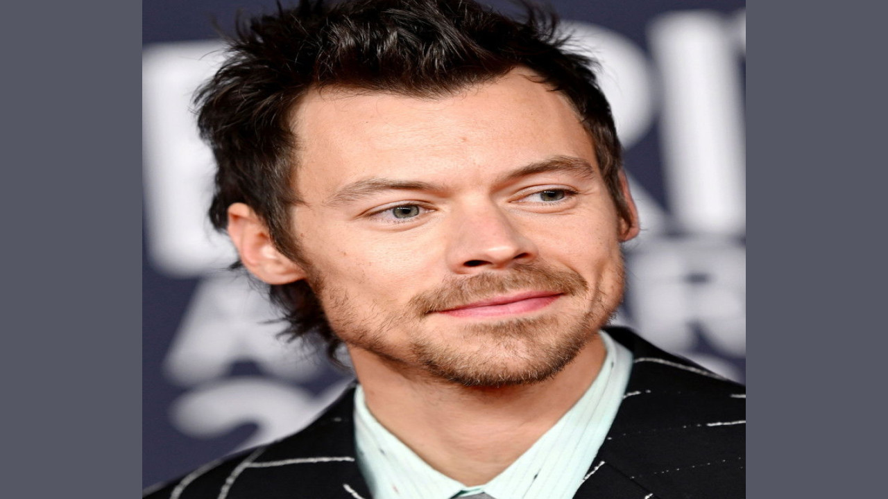 Harry Styles (Presentador)