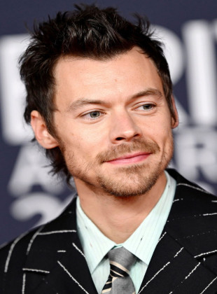 Harry Styles (Presentador)