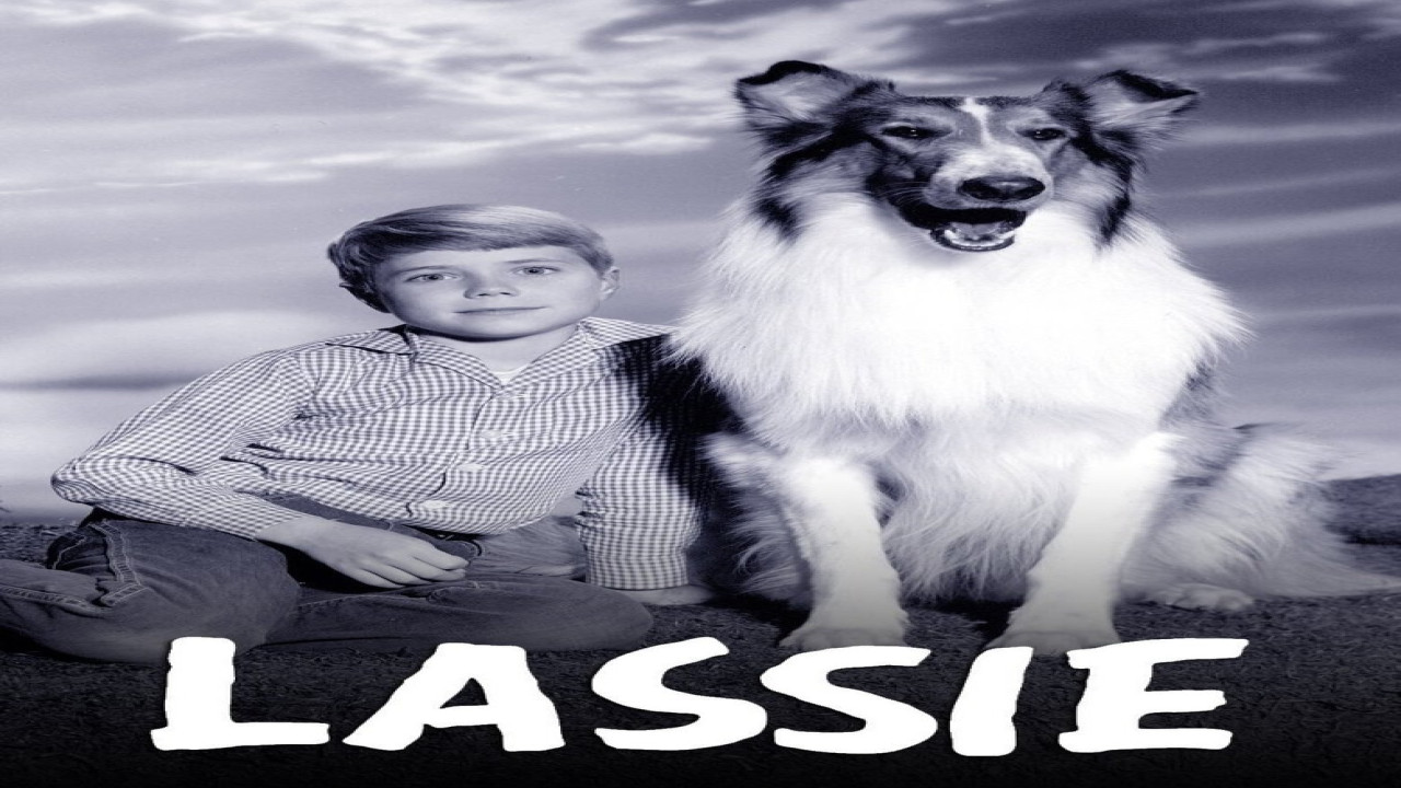Lassie (Serie de 1954)