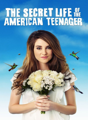 Vida secreta de una adolescente (Serie de 2008)
