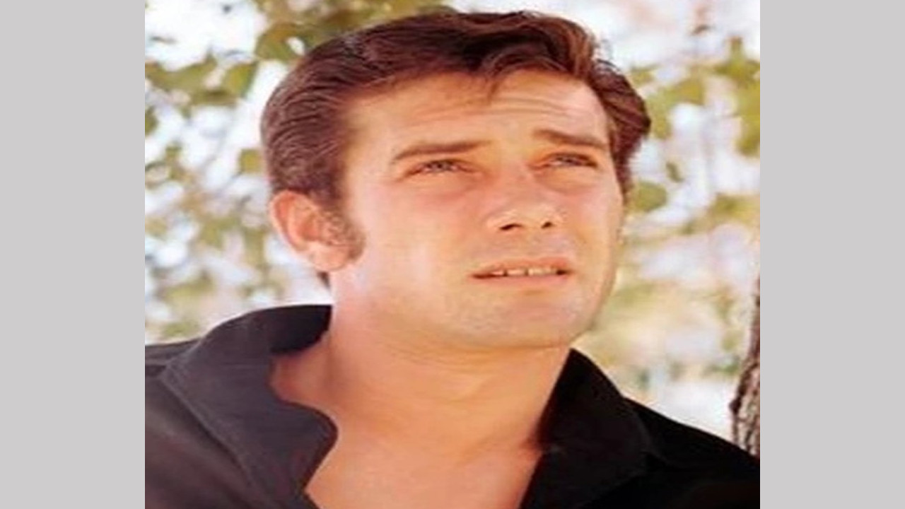 Robert Fuller (Actor)