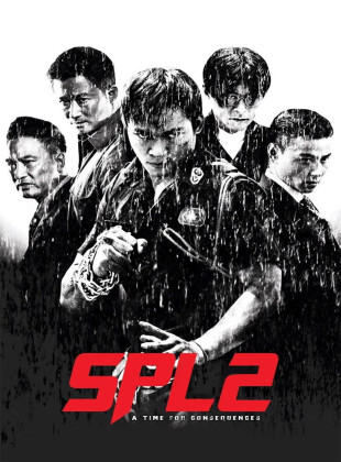 El despertar de los dragones (SPL2) (Película de 2015)