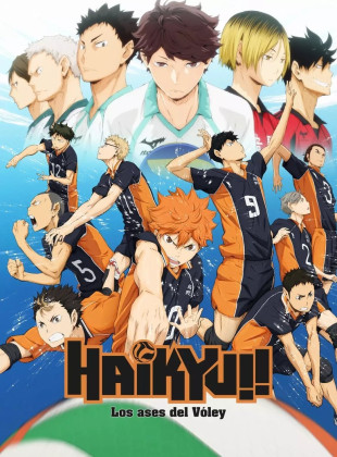 Haikyuu! ! Los ases del vóley (Serie de 2014)