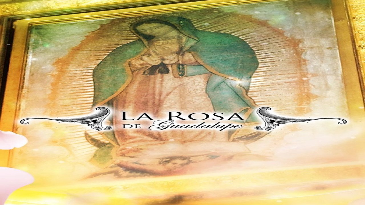 La rosa de Guadalupe (Serie de 2008)