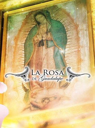 La rosa de Guadalupe (Serie de 2008)
