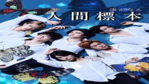 📺 Ningen Hyouhon (Serie de 2025)