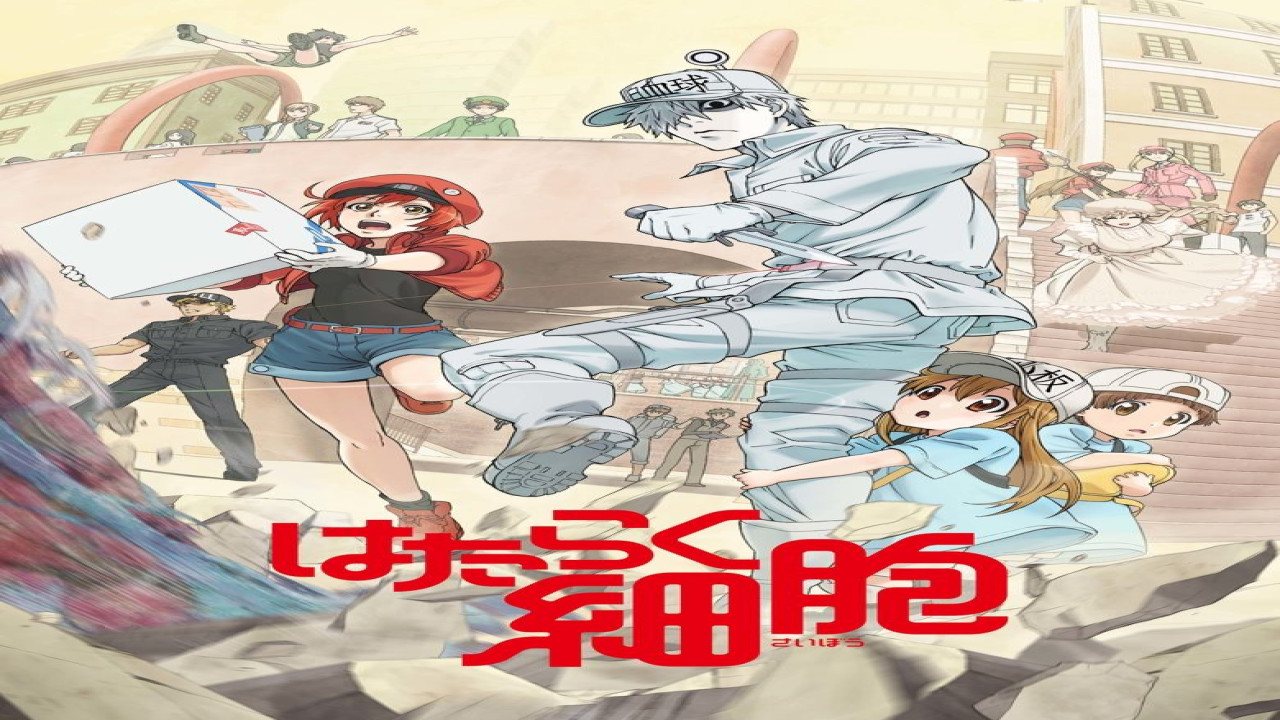 Cells at work! (Serie de 2018)
