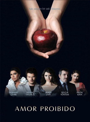 Amor Prohibido (Serie de 2008)