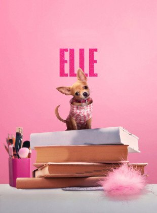 Elle (Serie de 2026)