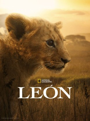 LION (Serie de 2026)